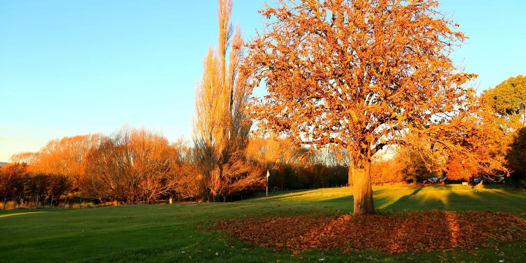 Ratho Farm Golf Links