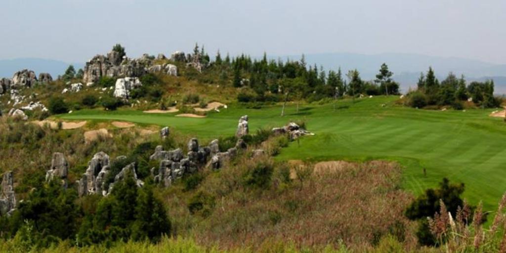 Stone Forest Yufeng Ridge