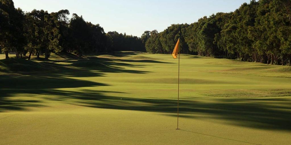 Twin Waters GC: Featuring tree-lined fairways intercepted with hollows