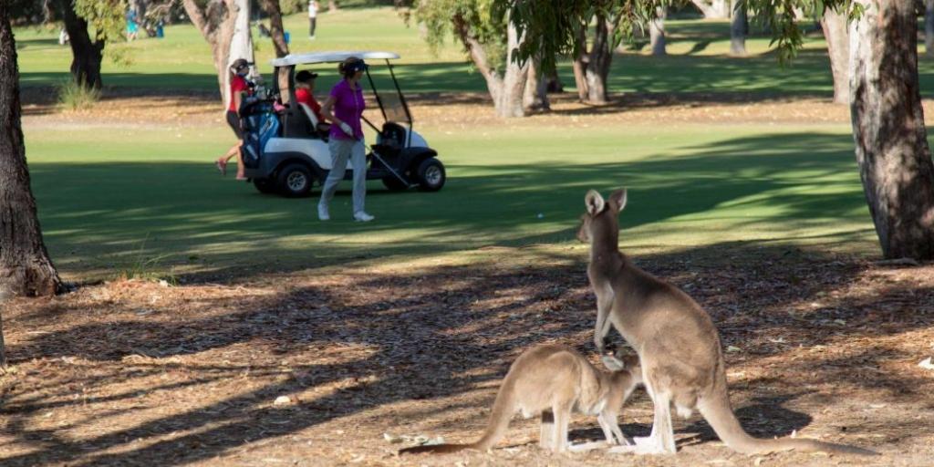 Mandurah Country Club